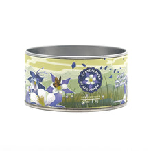 Load image into Gallery viewer, Rocky Mountain Columbine | Flower Seed Grow Kit | The Jonsteen Company