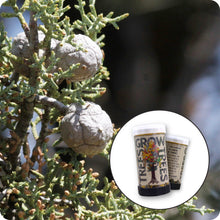 Load image into Gallery viewer, Cuyamaca Cypress | Mini-Grow Kit | The Jonsteen Company