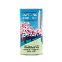 Load image into Gallery viewer, Flowering Cherry Blossom | Washington D.C. | Seed Grow Kit | The Jonsteen Company