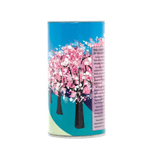 Load image into Gallery viewer, Flowering Cherry Blossom | Washington D.C. | Seed Grow Kit | The Jonsteen Company