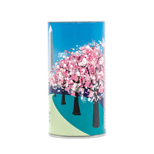 Load image into Gallery viewer, Flowering Cherry Blossom | Washington D.C. | Seed Grow Kit | The Jonsteen Company