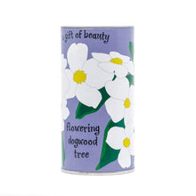 Load image into Gallery viewer, Flowering Dogwood | Seed Grow Kit | The Jonsteen Company