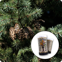 Load image into Gallery viewer, Douglas Fir | Mini-Grow Kit | The Jonsteen Company