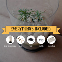Load image into Gallery viewer, Anatomy of the World's Best (Mini) Grow Kit | The Jonsteen Company