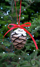 Load image into Gallery viewer, Old Growth Giant Sequoia Cone Ornament | The Jonsteen Company