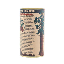 Load image into Gallery viewer, Giant Sequoia | Seed Grow Kit | The Jonsteen Company