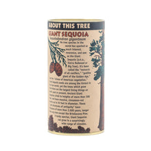 Load image into Gallery viewer, Giant Sequoia | Seed Grow Kit | The Jonsteen Company