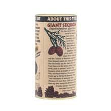 Load image into Gallery viewer, Giant Sequoia | Seed Grow Kit | The Jonsteen Company