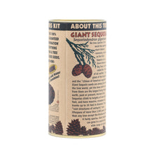 Load image into Gallery viewer, Giant Sequoia | Seed Grow Kit | The Jonsteen Company
