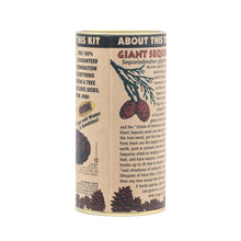 Load image into Gallery viewer, Giant Sequoia | Seed Grow Kit | The Jonsteen Company