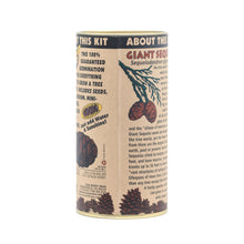 Load image into Gallery viewer, Giant Sequoia | Seed Grow Kit | The Jonsteen Company