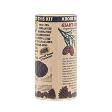 Load image into Gallery viewer, Giant Sequoia | Seed Grow Kit | The Jonsteen Company