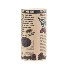 Load image into Gallery viewer, Giant Sequoia | Seed Grow Kit | The Jonsteen Company