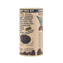 Load image into Gallery viewer, Giant Sequoia | Seed Grow Kit | The Jonsteen Company