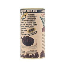 Load image into Gallery viewer, Giant Sequoia | Seed Grow Kit | The Jonsteen Company