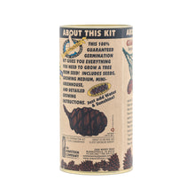 Load image into Gallery viewer, Giant Sequoia | Seed Grow Kit | The Jonsteen Company