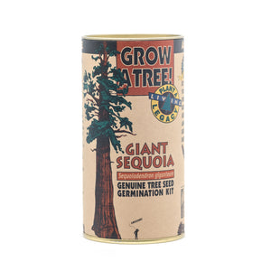 Giant Sequoia | Seed Grow Kit | The Jonsteen Company