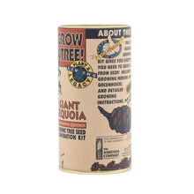 Load image into Gallery viewer, Giant Sequoia | Seed Grow Kit | The Jonsteen Company