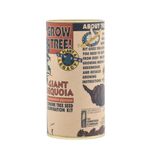 Load image into Gallery viewer, Giant Sequoia | Seed Grow Kit | The Jonsteen Company