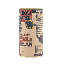 Load image into Gallery viewer, Giant Sequoia | Seed Grow Kit | The Jonsteen Company
