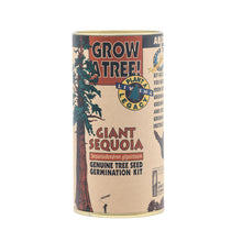 Load image into Gallery viewer, Giant Sequoia | Seed Grow Kit | The Jonsteen Company
