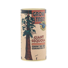 Load image into Gallery viewer, Giant Sequoia | Seed Grow Kit | The Jonsteen Company