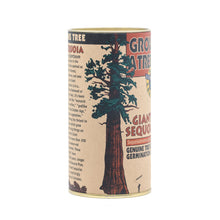 Load image into Gallery viewer, Giant Sequoia | Seed Grow Kit | The Jonsteen Company