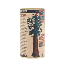 Load image into Gallery viewer, Giant Sequoia | Seed Grow Kit | The Jonsteen Company