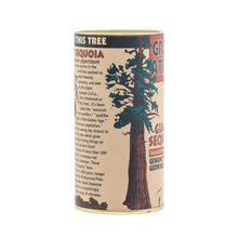 Load image into Gallery viewer, Giant Sequoia | Seed Grow Kit | The Jonsteen Company