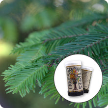 Load image into Gallery viewer, Grand Fir | Mini-Grow Kit | The Jonsteen Company
