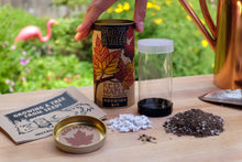 Load image into Gallery viewer, Red Maple | Seed Grow Kit | The Jonsteen Company