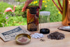 Red Maple | Seed Grow Kit | The Jonsteen Company