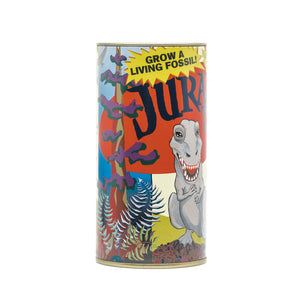 Jurassic Tree | Ginkgo biloba | Seed Grow Kit | The Jonsteen Company