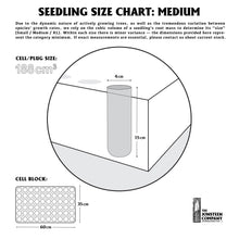 Load image into Gallery viewer, Seedling Size Chart | Medium | The Jonsteen Company
