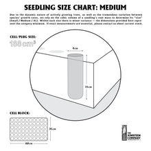 Load image into Gallery viewer, Seedling Size Chart | Medium | The Jonsteen Company