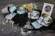 Load image into Gallery viewer, Shasta Daisy | Flower Seed Grow Kit | The Jonsteen Company