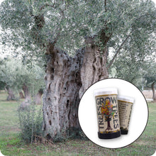 Load image into Gallery viewer, Olive Tree | Mini-Grow Kit | The Jonsteen Company