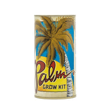 Load image into Gallery viewer, Palm Tree | Seed Grow Kit | The Jonsteen Company