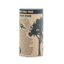 Load image into Gallery viewer, Piñon Pine | Seed Grow Kit | The Jonsteen Company