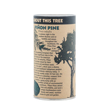 Load image into Gallery viewer, Piñon Pine | Seed Grow Kit | The Jonsteen Company