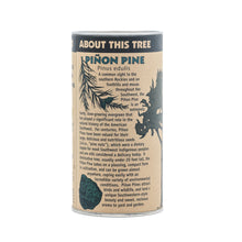 Load image into Gallery viewer, Piñon Pine | Seed Grow Kit | The Jonsteen Company