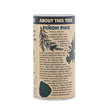 Load image into Gallery viewer, Piñon Pine | Seed Grow Kit | The Jonsteen Company