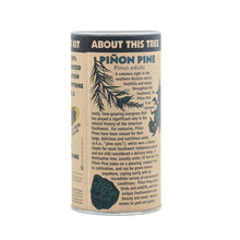 Load image into Gallery viewer, Piñon Pine | Seed Grow Kit | The Jonsteen Company