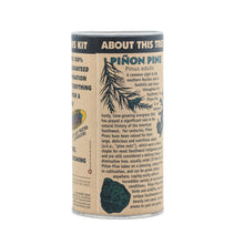 Load image into Gallery viewer, Piñon Pine | Seed Grow Kit | The Jonsteen Company