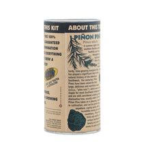Load image into Gallery viewer, Piñon Pine | Seed Grow Kit | The Jonsteen Company