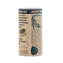 Load image into Gallery viewer, Piñon Pine | Seed Grow Kit | The Jonsteen Company