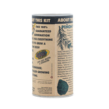 Load image into Gallery viewer, Piñon Pine | Seed Grow Kit | The Jonsteen Company
