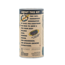 Load image into Gallery viewer, Piñon Pine | Seed Grow Kit | The Jonsteen Company