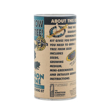 Load image into Gallery viewer, Piñon Pine | Seed Grow Kit | The Jonsteen Company