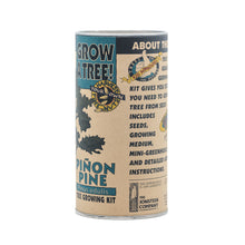 Load image into Gallery viewer, Piñon Pine | Seed Grow Kit | The Jonsteen Company